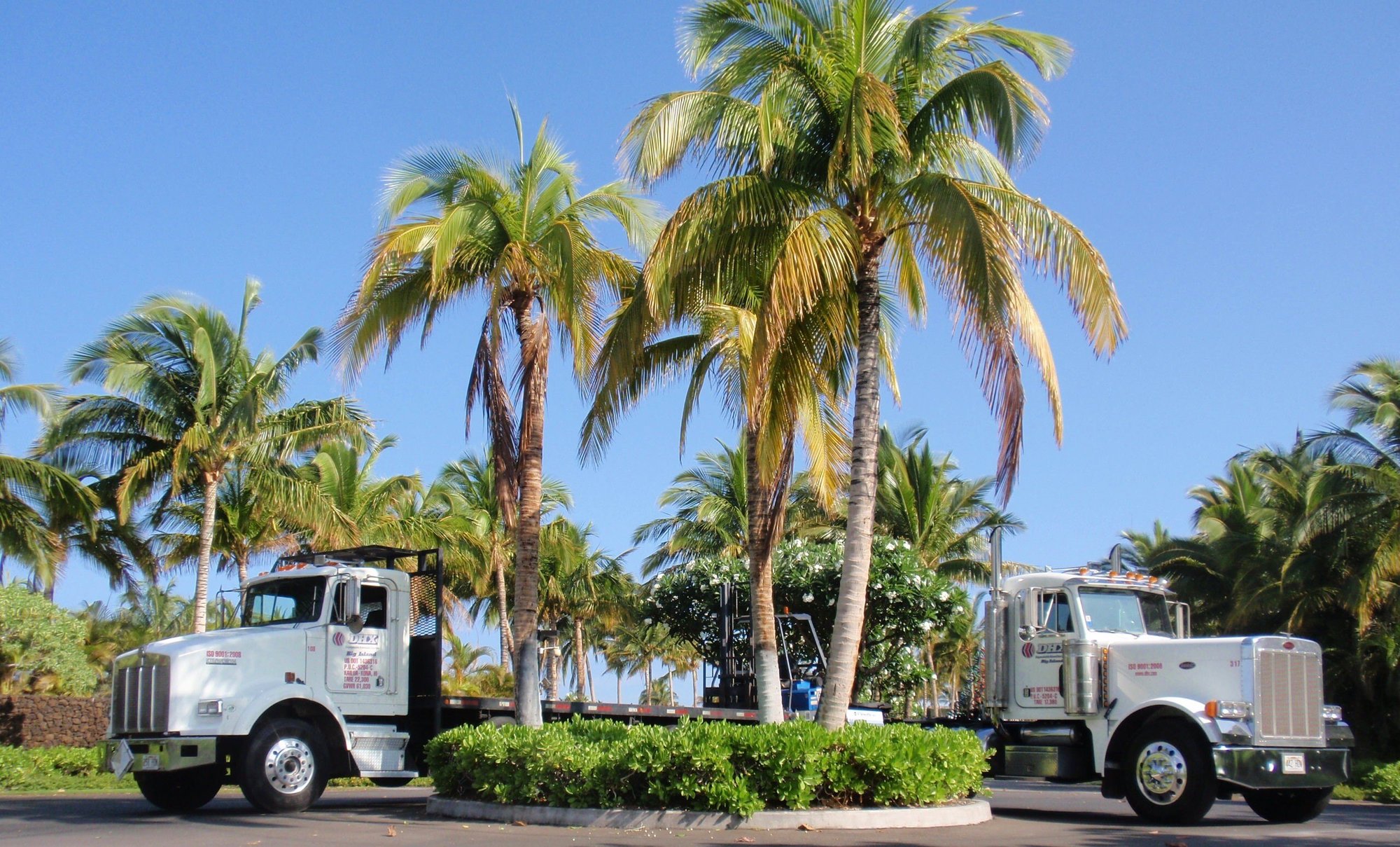 Trucking_in_Hawaii